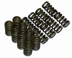Heavy Duty Valve Springs
