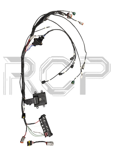 RC4 MaxxEcu Mini Harness