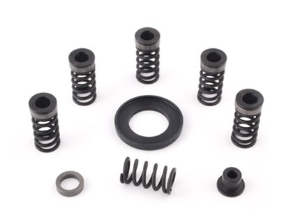 2012 Kawasaki ZX-14 Brock Davidson Clutch Mod